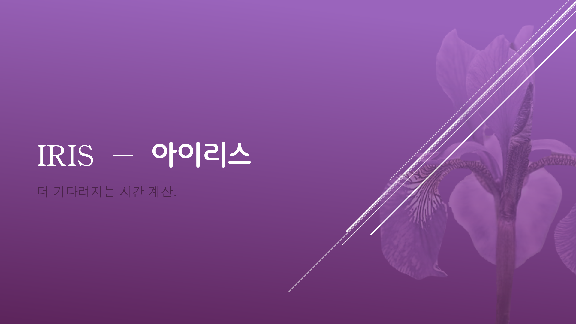 Iris - 아이리스